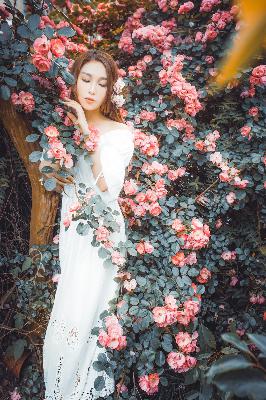 仙逆在线观看高清