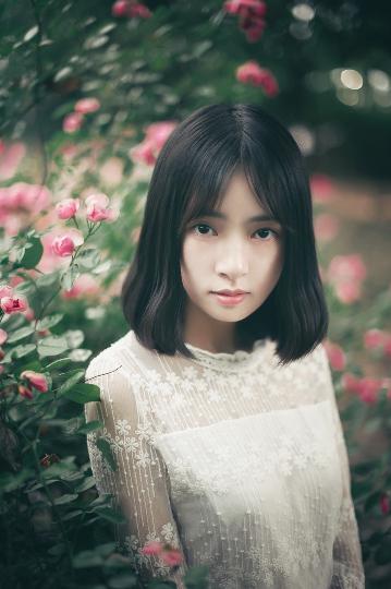 沉默的荣耀电视剧在线观看免费完整版